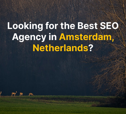 SEO Agency in City